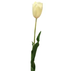 31" Large Open Tulip
