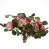 Large Rose Bush in Mauve  (Sold in Multiples of 4)