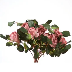 Large Rose Bush in Mauve  (Sold in Multiples of 4)