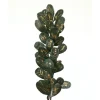 31" Laurel Leaves in Green with Gold