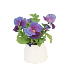 Lavender Blue Pansie in White Planter