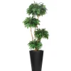 8.8' Layered Mango in Tall Black Fiberstone Planter