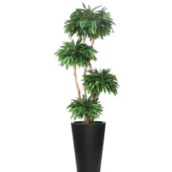 8.8' Layered Mango in Tall Black Fiberstone Planter