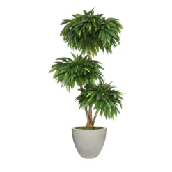 6' Layered Mango in Vertically Ridge Planter