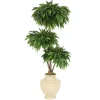 6' Layered Mango Tree in Shellish Sand Earthenware Vase