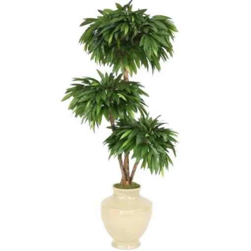 6' Layered Mango Tree in Shellish Sand Earthenware Vase