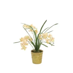 Light Green Mini Orchids in Small Green Ceramic Pot