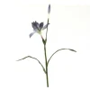 Lily with Bud