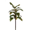 36" Magnolia Branch