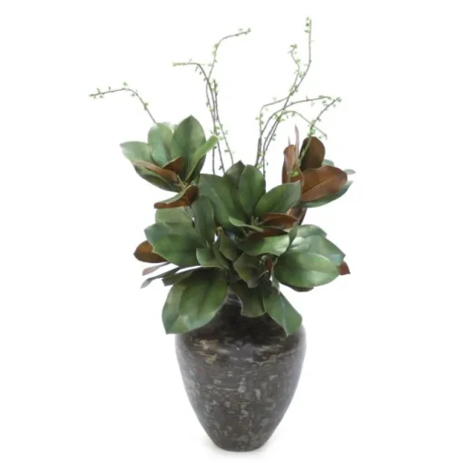Magnolia Leaves in Vase
