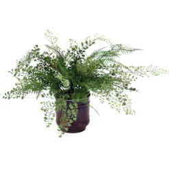 Maiden Hair Fern in Metal Bronze Pot