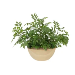 Maiden Hair Fern in Oval Beige with Bronze Rim Ceramic Planter