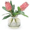 Mauve Proteas in Amber Glass