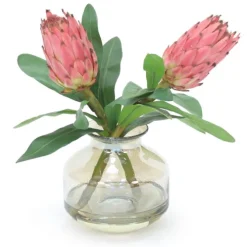 Mauve Proteas in Amber Glass