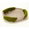 Medium Mossed Saucer Moss Gray (Set of 4)