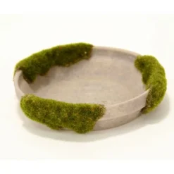 Medium Mossed Saucer Moss Gray (Set of 4)