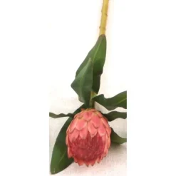 33" Medium Protea Mauve