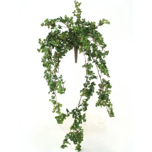 34" Mini Boxwood Bush   (Set of 6)