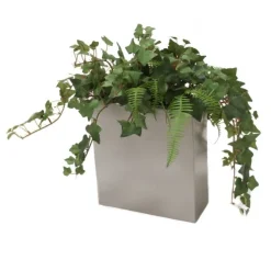 Mini Ivy & Fern in Tall Pillow Vase (Set of 2)