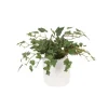 Mini Ivy in Haven White Planter (Set of 3)