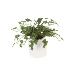 Mini Ivy in Haven White Planter (Set of 3)