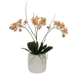 Mini Orchid with Foliage in Ribbed White Vase