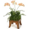 Mini Orchids in Wooden Square