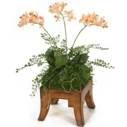 Mini Orchids in Wooden Square
