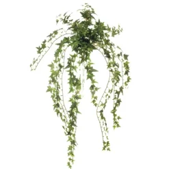 Mini Pittsburgh Ivy Bush in Dark Green   (Set of 6)