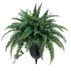 Mixed Fern and Ivy in Bronze Wall Sconce