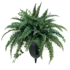 Mixed Fern and Ivy in Bronze Wall Sconce