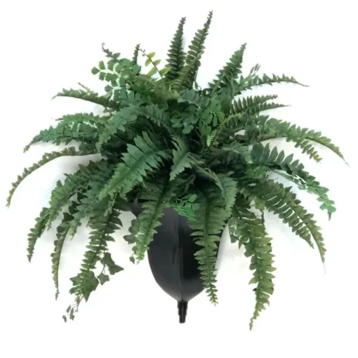 Mixed Fern and Ivy in Bronze Wall Sconce