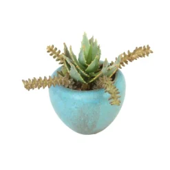 Mixed Succulent Garden in Turquoise Pot