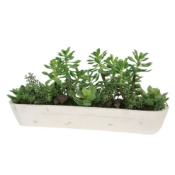 Mixed Succulent Garden in White Wooden Trough