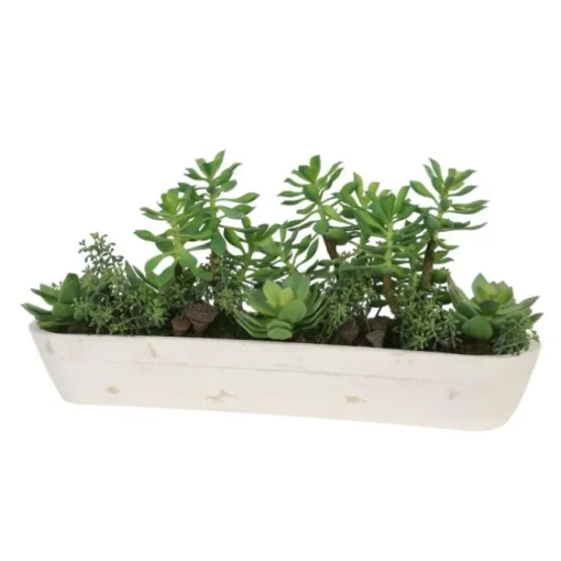 Mixed Succulent Garden in White Wooden Trough