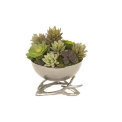Mixed Succulents in Black Nickel Deer Horn Bowl