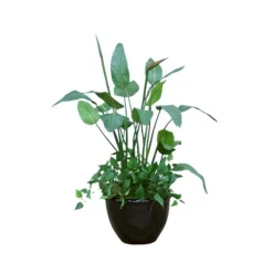 Mixed Tropical in Black Stoneware Planter