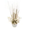 Money Plant in Cream White Rattan Planter