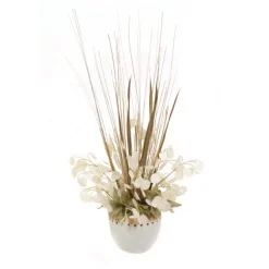 Money Plant in Cream White Rattan Planter