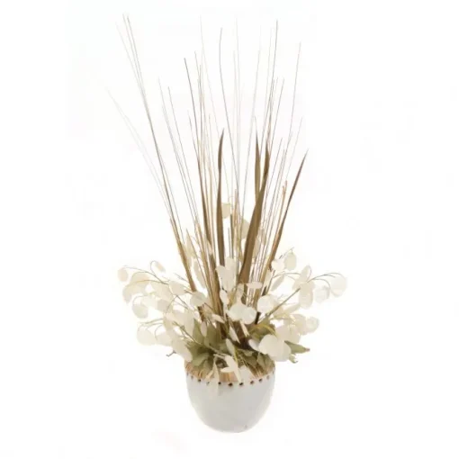 Money Plant in Cream White Rattan Planter