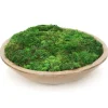 Mood Moss in Glazed Stoneware Bowl
