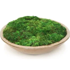Mood Moss in Glazed Stoneware Bowl