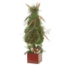 Mossed Tree with Berries and Feathers and Bird in Brown Box