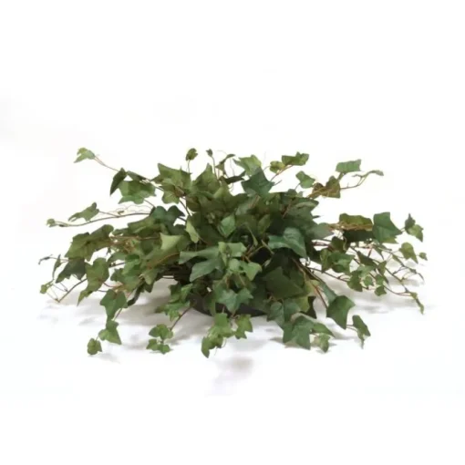 Mountain Ivy Greenery in Saucer (PK 2)