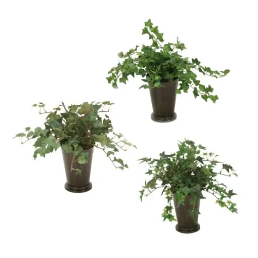 Mt Ivy in Mint Julep Vases Set of 3
