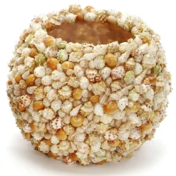 Multi Shell Vase