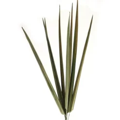Natural Blade Bdls/Basil