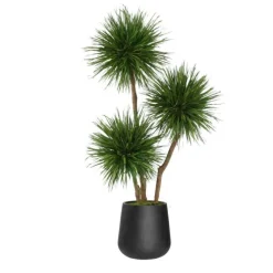 8' Natural Blade Pom Pom in Black Fiberstone Planter