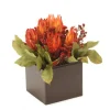 Natural Protea with Red Repens in Wood Planter