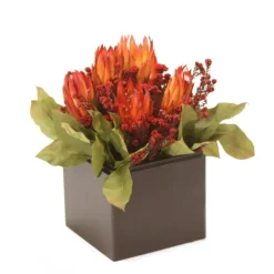 Natural Protea with Red Repens in Wood Planter